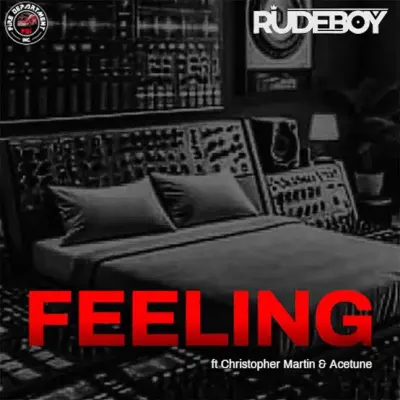 Rudeboy - Feelings ft. Christopher Martin, Acetune