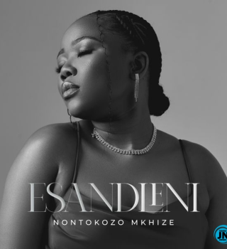 Nontokozo Mkhize – Esandleni.